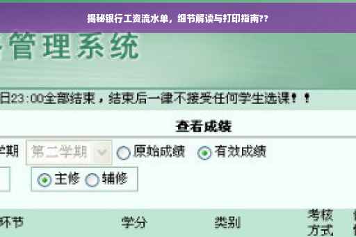 揭秘银行工资流水单，细节解读与打印指南??