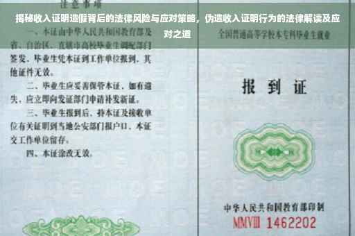 揭秘收入证明造假背后的法律风险与应对策略，伪造收入证明行为的法律解读及应对之道