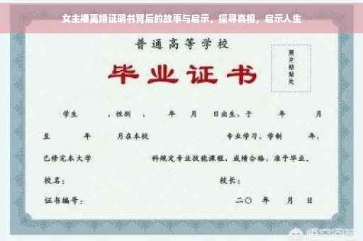 女主播离婚证明书背后的故事与启示，探寻真相，启示人生
