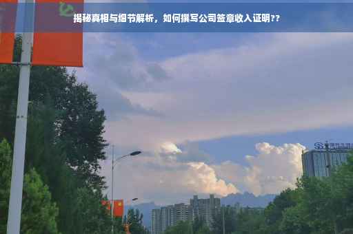 揭秘真相与细节解析，如何撰写公司签章收入证明??