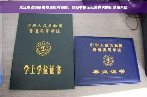 双耳失聪病情挑战与应对策略，诊断书揭示无声世界的困境与希望