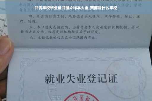 共青学校毕业证书图片样本大全,南商是什么学校