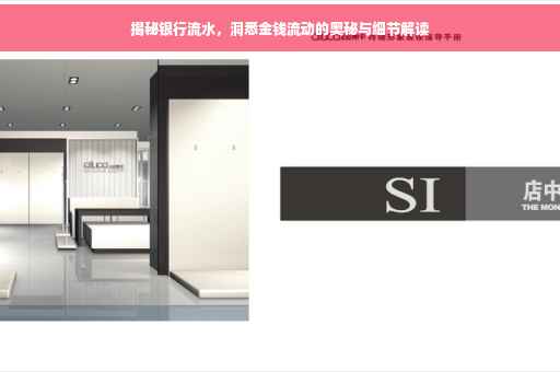 揭秘银行流水，洞悉金钱流动的奥秘与细节解读