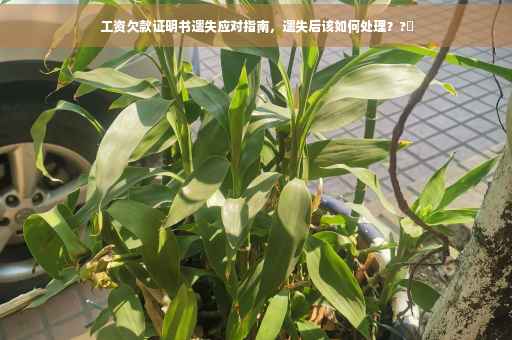 工资欠款证明书遗失应对指南，遗失后该如何处理？?⚡