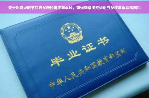 关于出资证明书的购买途径与注意事项，如何获取出资证明书及注意事项指南?✨
