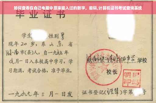 如何查看在自己电脑中原来输入过的数字，密码,计算机证书考试查询系统