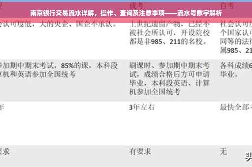南京银行交易流水详解，操作、查询及注意事项——流水号数字解析