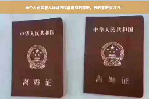 无个人薪金收入证明的挑战与应对策略，应对策略探讨 ?⚡️