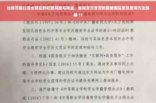 比特币银行流水背后的犯罪风险与挑战，虚拟货币世界的阴暗面探索及查询方法揭秘 ??