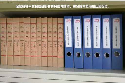 深度解析不交保险证明书的风险与影响，撰写指南及潜在后果探讨。