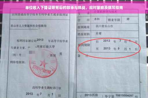 单位收入下降证明背后的故事与挑战，应对策略及撰写指南