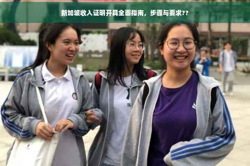 新加坡收入证明开具全面指南，步骤与要求??