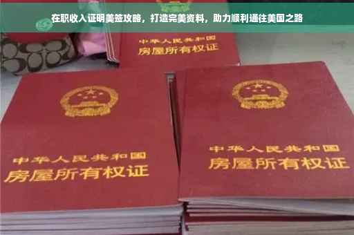 在职收入证明美签攻略，打造完美资料，助力顺利通往美国之路