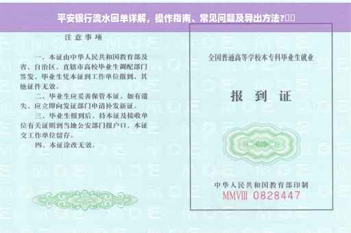 平安银行流水回单详解，操作指南、常见问题及导出方法?⚡️