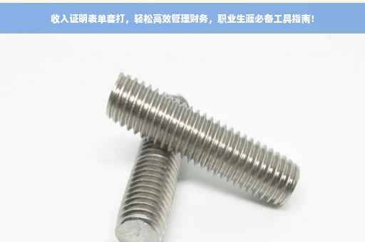 收入证明表单套打，轻松高效管理财务，职业生涯必备工具指南！