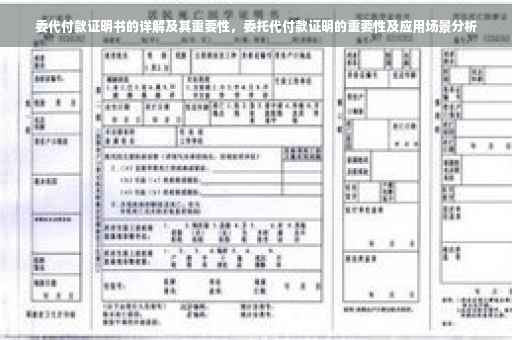 委代付款证明书的详解及其重要性，委托代付款证明的重要性及应用场景分析