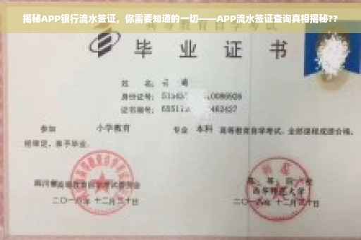 揭秘APP银行流水签证，你需要知道的一切——APP流水签证查询真相揭秘??