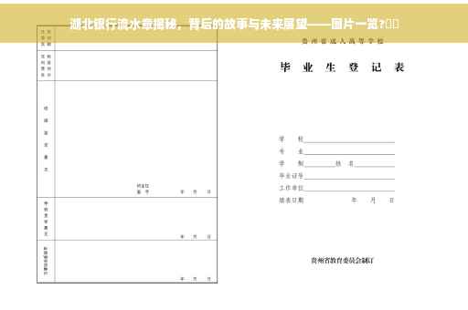 湖北银行流水章揭秘，背后的故事与未来展望——图片一览?⚡️