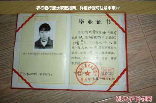 农行银行流水获取指南，详细步骤与注意事项??
