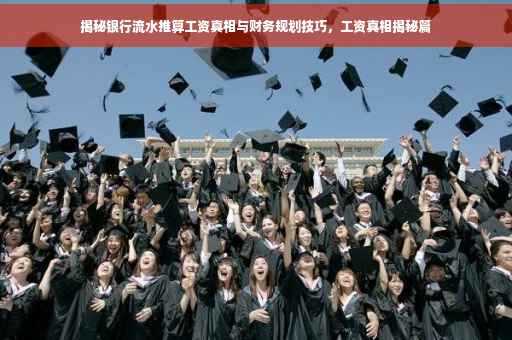 揭秘银行流水推算工资真相与财务规划技巧，工资真相揭秘篇