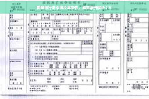揭秘银行流水照片真实性，真实案例解析 ?⚡️