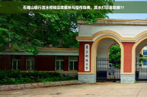 石嘴山银行流水校验深度解析与操作指南，流水打印全攻略??