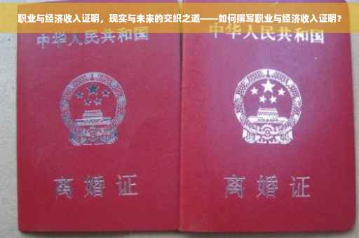 职业与经济收入证明，现实与未来的交织之道——如何撰写职业与经济收入证明？