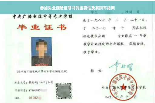 参加失业保险证明书的重要性及其撰写指南