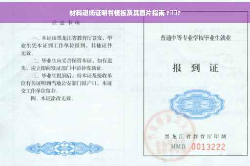 材料退场证明书模板及其图片指南 ?⚡️?