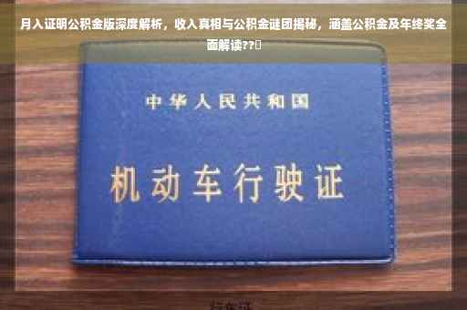 月入证明公积金版深度解析，收入真相与公积金谜团揭秘，涵盖公积金及年终奖全面解读??✨