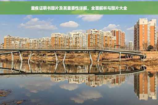 重疾证明书图片及其重要性详解，全面解析与图片大全