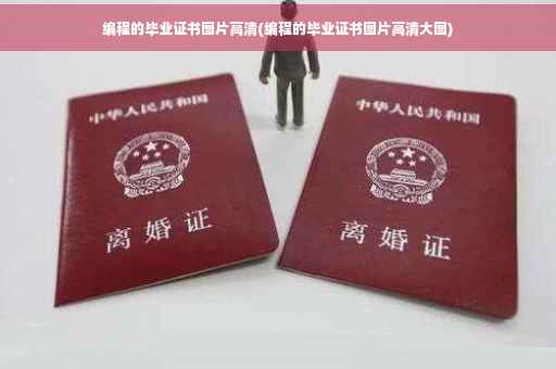 编程的毕业证书图片高清(编程的毕业证书图片高清大图)