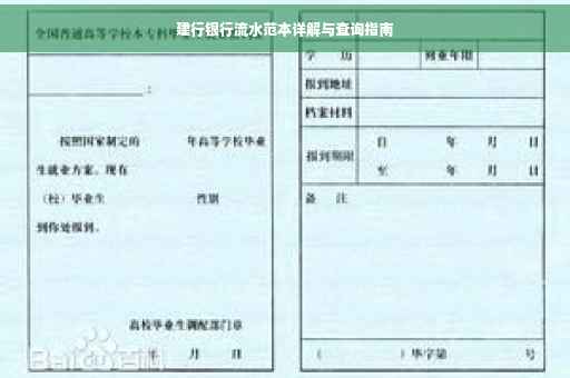 建行银行流水范本详解与查询指南