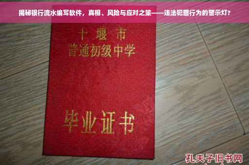 揭秘银行流水编写软件，真相、风险与应对之策——违法犯罪行为的警示灯?
