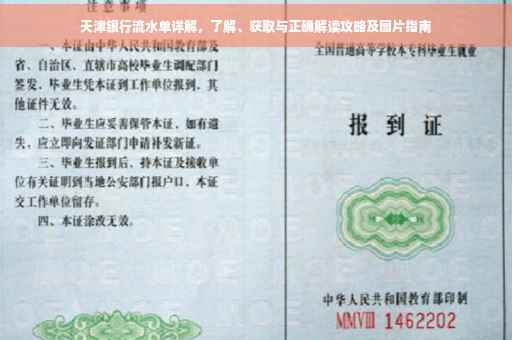 天津银行流水单详解，了解、获取与正确解读攻略及图片指南