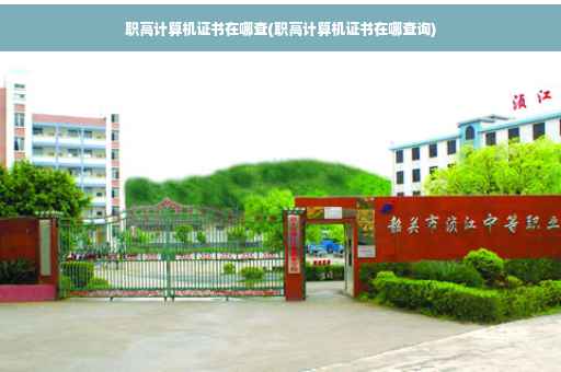 职高计算机证书在哪查(职高计算机证书在哪查询)