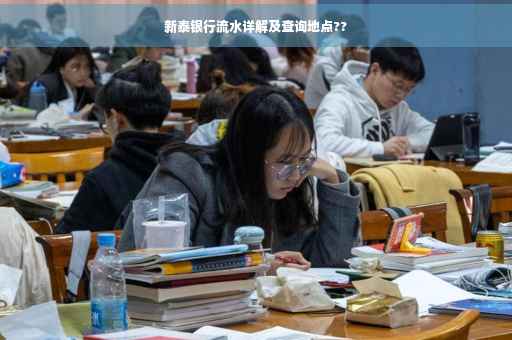 新泰银行流水详解及查询地点??