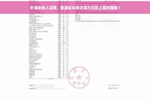 中海油收入证明，能源巨头经济实力与员工福利揭秘 ?