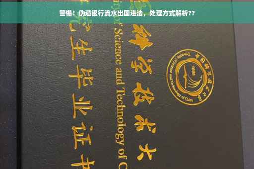 警惕！伪造银行流水出国违法，处理方式解析??