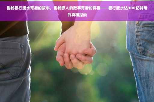 揭秘银行流水背后的故事，揭秘惊人的数字背后的真相——银行流水达300亿背后的真相探索