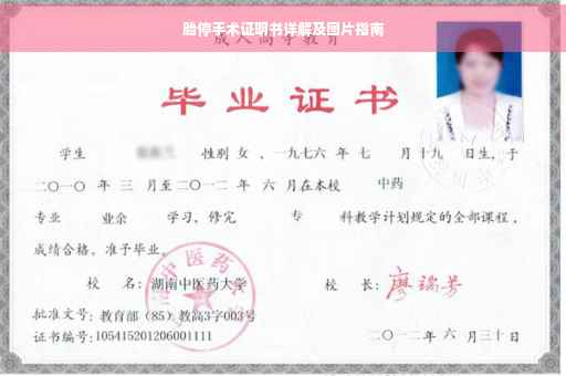 胎停手术证明书详解及图片指南