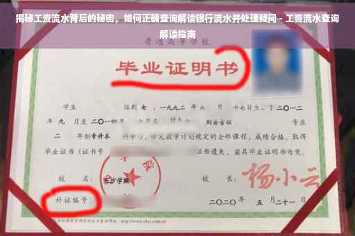 揭秘工资流水背后的秘密，如何正确查询解读银行流水并处理疑问 - 工资流水查询解读指南