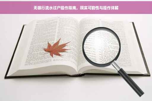 无银行流水过户操作指南，现实可能性与操作详解