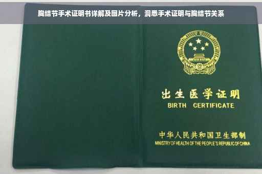 胸结节手术证明书详解及图片分析，洞悉手术证明与胸结节关系