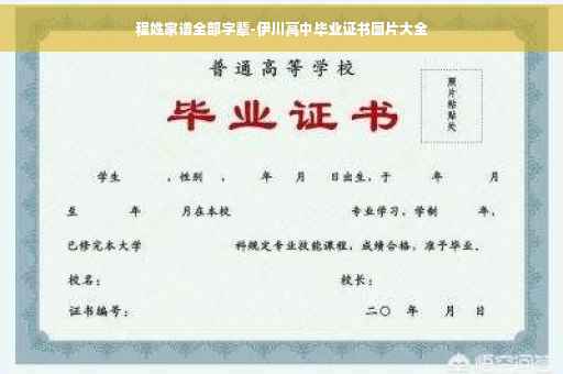 程姓家谱全部字辈-伊川高中毕业证书图片大全