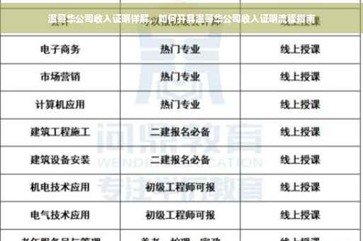 温哥华公司收入证明详解，如何开具温哥华公司收入证明流程指南