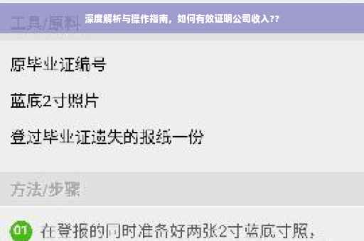 深度解析与操作指南，如何有效证明公司收入??
