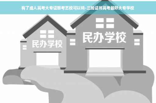 有了成人高考大专证想考艺校可以吗-三加证书高考最好大专学校