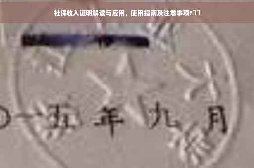 社保收入证明解读与应用，使用指南及注意事项?⚡️