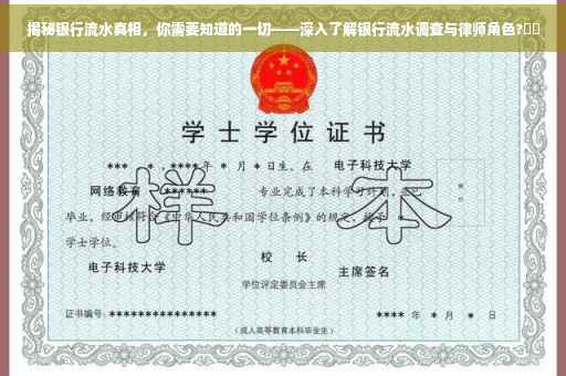 揭秘银行流水真相，你需要知道的一切——深入了解银行流水调查与律师角色?⚡️